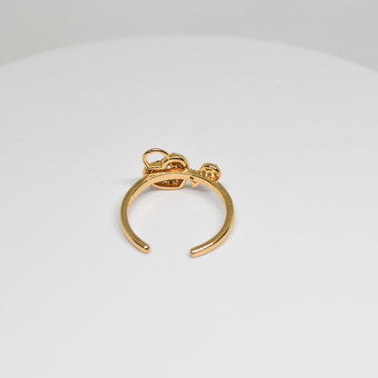 ANILLO LLAVE