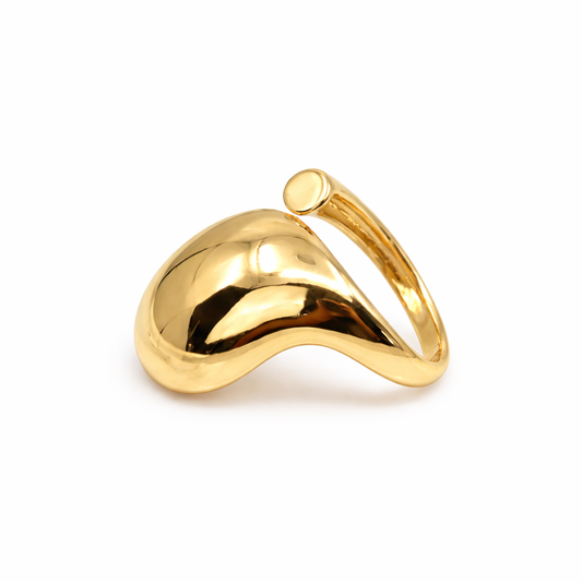 ANILLO ABSTRA