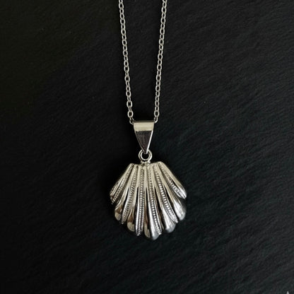 COLLAR CONCHA