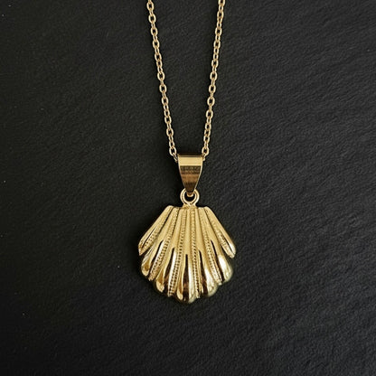 COLLAR CONCHA